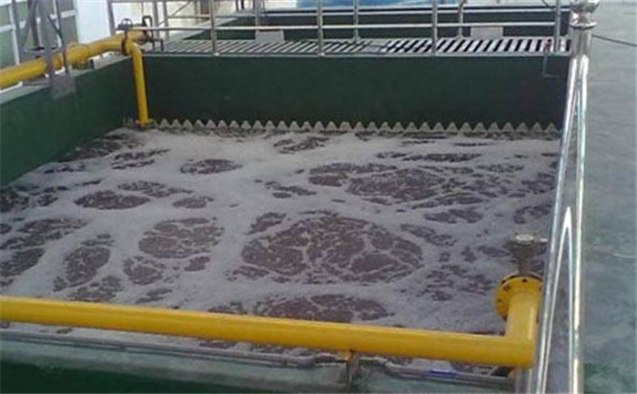 (圖:循環(huán)水起泡現(xiàn)場(chǎng))