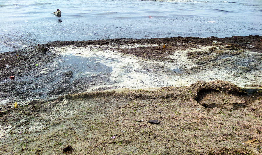 (圖:工業(yè)污水廢水泡沫)