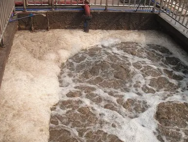 (圖:厭氧池污水泡沫)
