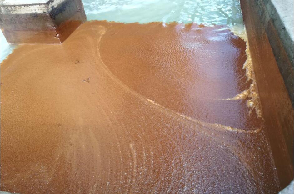 (圖:南輝水處理消泡劑應(yīng)用)