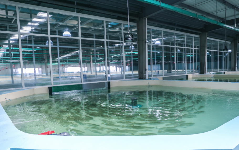 陽離子污水處理消泡劑