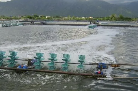 養(yǎng)殖水處理消泡