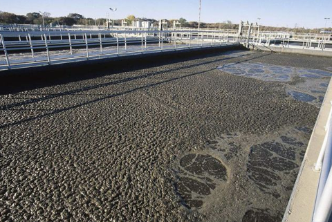 （微生物水處理消泡劑應(yīng)用場(chǎng)景）